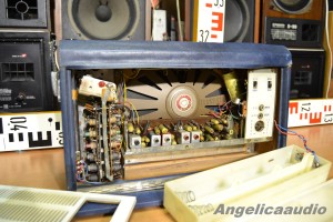 RADIALVA PRESTIGE (15)