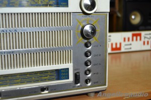 RADIALVA PRESTIGE (4)