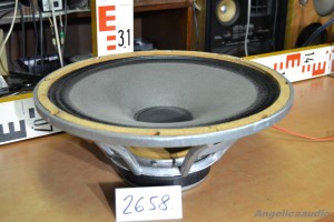 Celestion G15 100 (35)