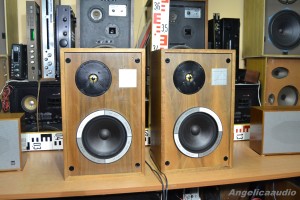 Tesla ARS 9205 10 (1)