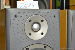 Bowers & Wilkins DM 303 (10)