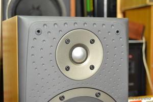 Bowers & Wilkins DM 303 (11)