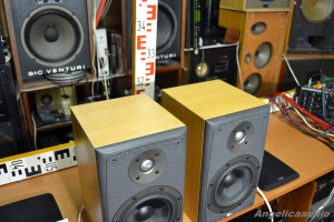 Bowers & Wilkins DM 303 (12)