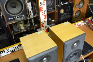 Bowers & Wilkins DM 303 (13)