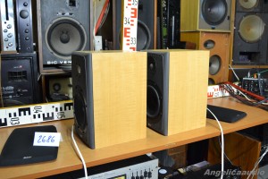 Bowers & Wilkins DM 303 (15)