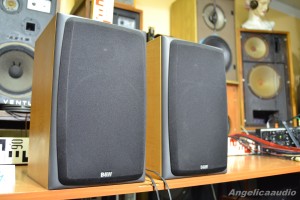 Bowers & Wilkins DM 303 (22)