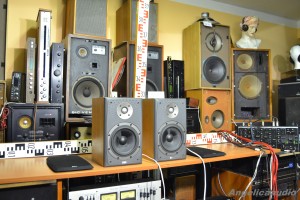 Bowers & Wilkins DM 303 (22)