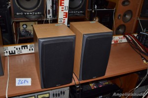 Bowers & Wilkins DM 303 (23)