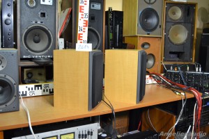 Bowers & Wilkins DM 303 (25)