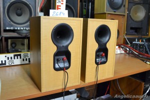 Bowers & Wilkins DM 303 (32)