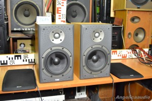 Bowers & Wilkins DM 303 (40)