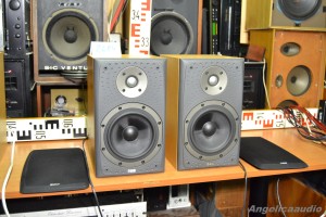 Bowers & Wilkins DM 303 (41)