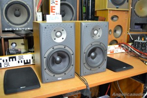 Bowers & Wilkins DM 303 (6)