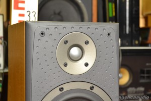 Bowers & Wilkins DM 303 (8)