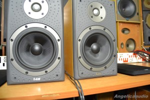 Bowers & Wilkins DM 303 (9)