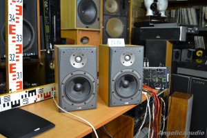 Bowers & Wilkins DM 303