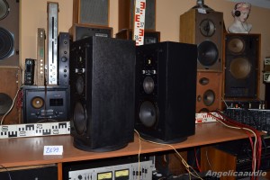 RS 334 Elektronika Praha AZS 223 (12)