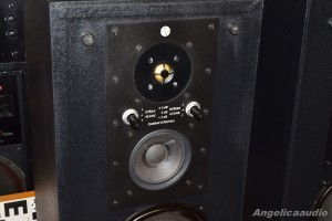 RS 334 Elektronika Praha AZS 223 (19)