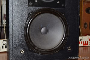 RS 334 Elektronika Praha AZS 223 (21)