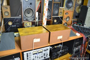 Tesla 1PF 068 88 (25)