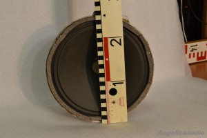 Oerstit Klangfilm 10 Zoll Lautsprecher (10)