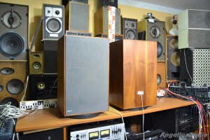 RANK ARENA LS 6000 (14)