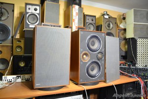 RANK ARENA LS 6000 (23)