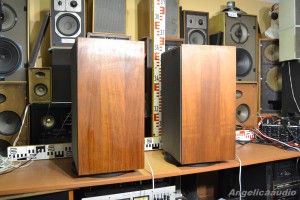 RANK ARENA LS 6000 (8)