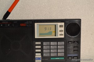 Panasonic RF B65 (8)