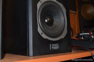 Quadral Merin MK II Phonologue E (12)