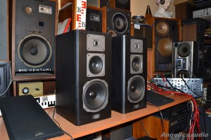 Quadral Merin MK II Phonologue E (16)