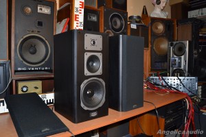 Quadral Merin MK II Phonologue E (17)