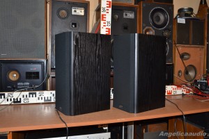 Quadral Merin MK II Phonologue E (19)