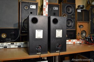 Quadral Merin MK II Phonologue E (20)