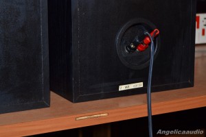 Quadral Merin MK II Phonologue E (23)