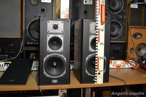 Quadral Merin MK II Phonologue E (3)