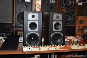 Quadral Merin MK II Phonologue E (4)