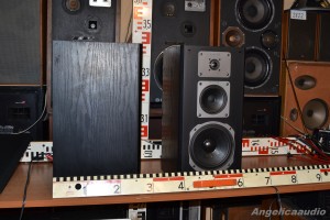 Quadral Merin MK II Phonologue E (5)