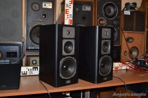 Quadral Merin MK II Phonologue E (6)