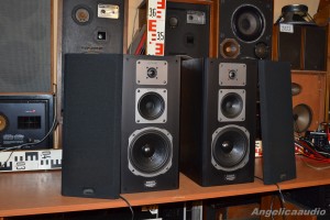 Quadral Merin MK II Phonologue E (7)