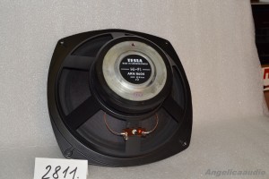 Tesla ARN 8604 (2)