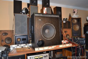 Tesla BASS Box B100 115 (2)