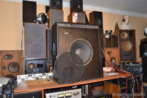 Tesla BASS Box B100 115 (3)