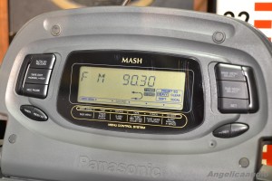 Panasonic RX DT75 cobra (6)