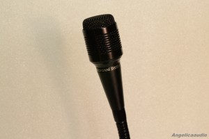 Mikrofonni system ministr (5)