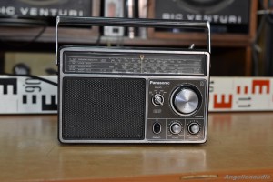 Panasonic GX5 model RF 1105DLBS (5)