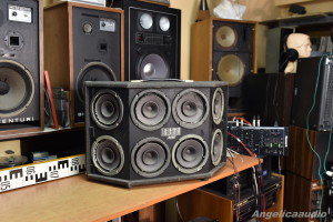 Solton Poly-Voice 400