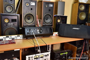 Bose L1 model II power stand youtube