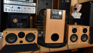 GENIUS SW-5.1  HOME THEATER - active subwoofer - center - satellite speakers (178893-5)