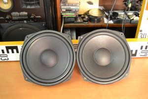 Tesla ARN 6604 front Angelicaaudio